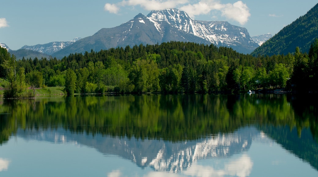 Bigfork showing forest scenes, mountains and a lake or waterhole