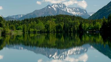 Bigfork showing forest scenes, mountains and a lake or waterhole