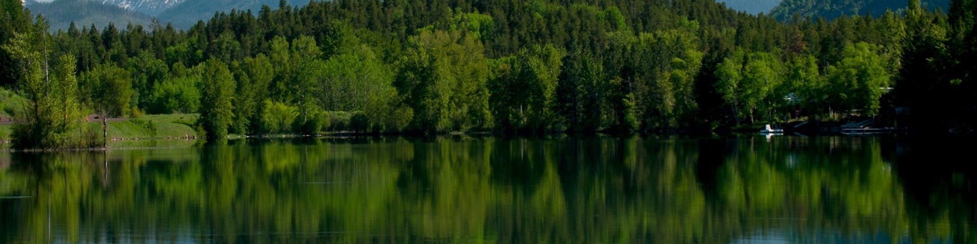 Bigfork showing forest scenes, mountains and a lake or waterhole