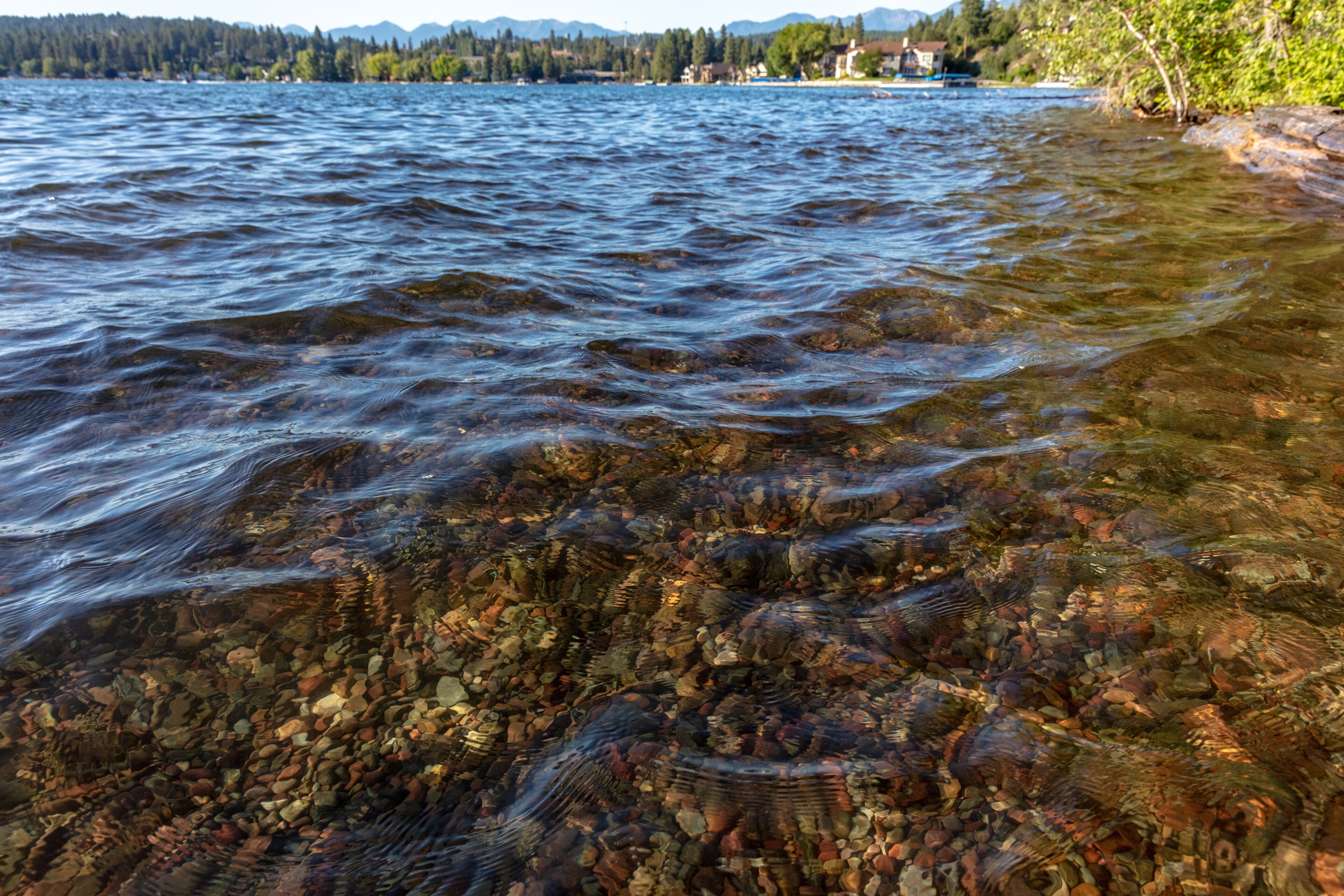 Un lago transparente con rocas visibles y una orilla con bosque.