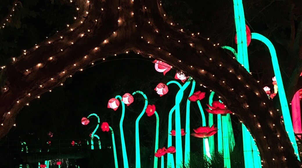 Beautiful lighting throughout the park. Part of Lumination after the park closes.