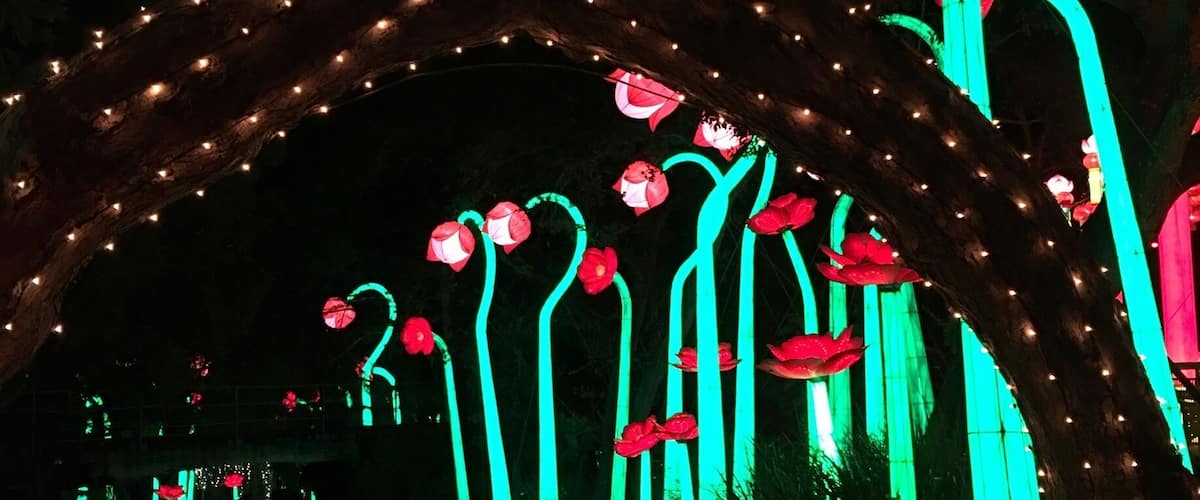 Beautiful lighting throughout the park.  Part of Lumination after the park closes.