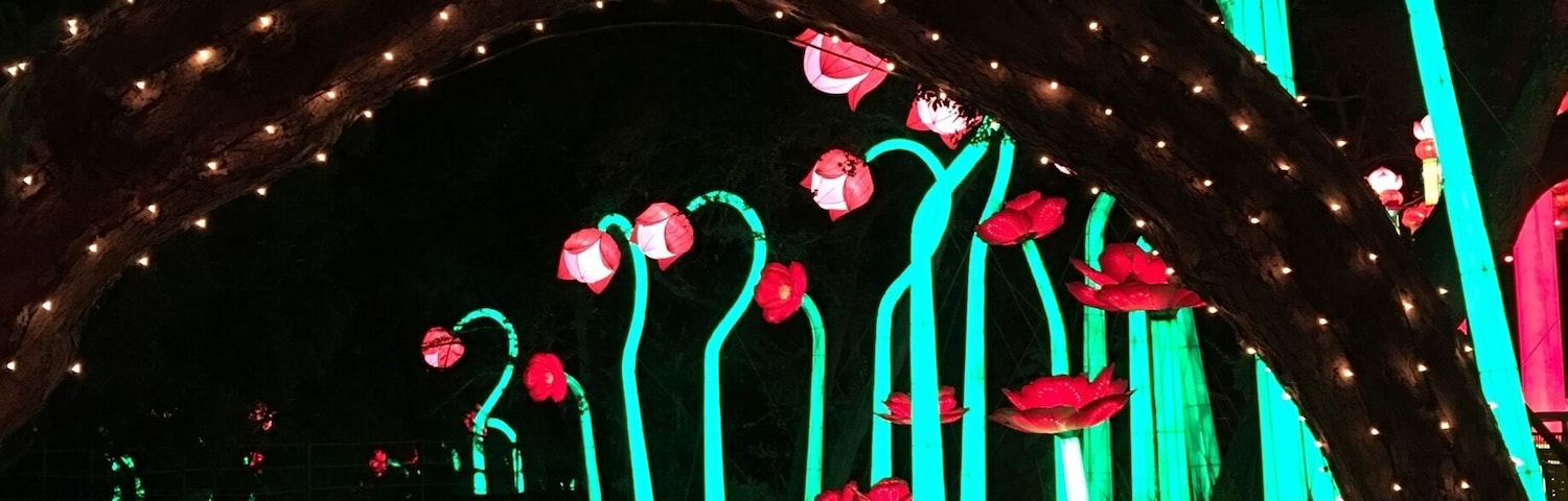 Beautiful lighting throughout the park.  Part of Lumination after the park closes.