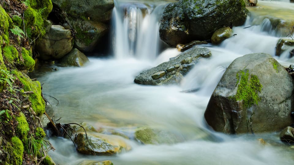 Waterfall Cascade Swanson Creek Uvas Canyon County Park Morgan Hill California