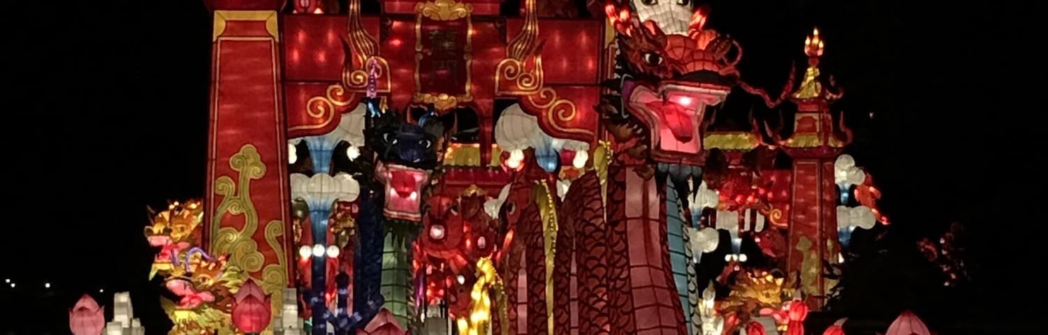 Beautiful lighting throughout the park. Part of Lumination after the park closes.