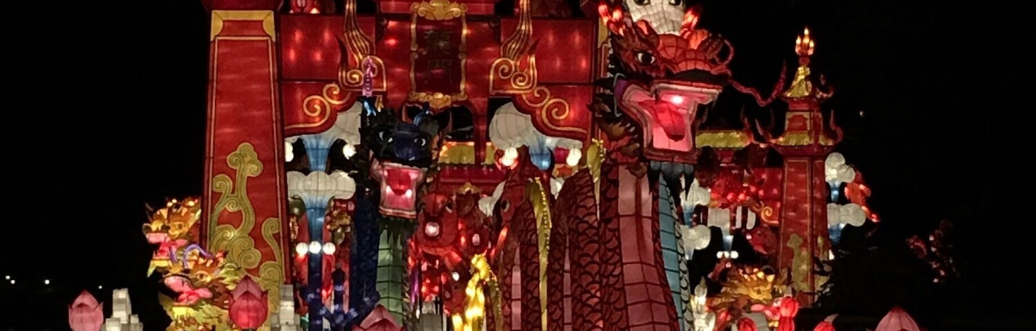 Beautiful lighting throughout the park. Part of Lumination after the park closes.