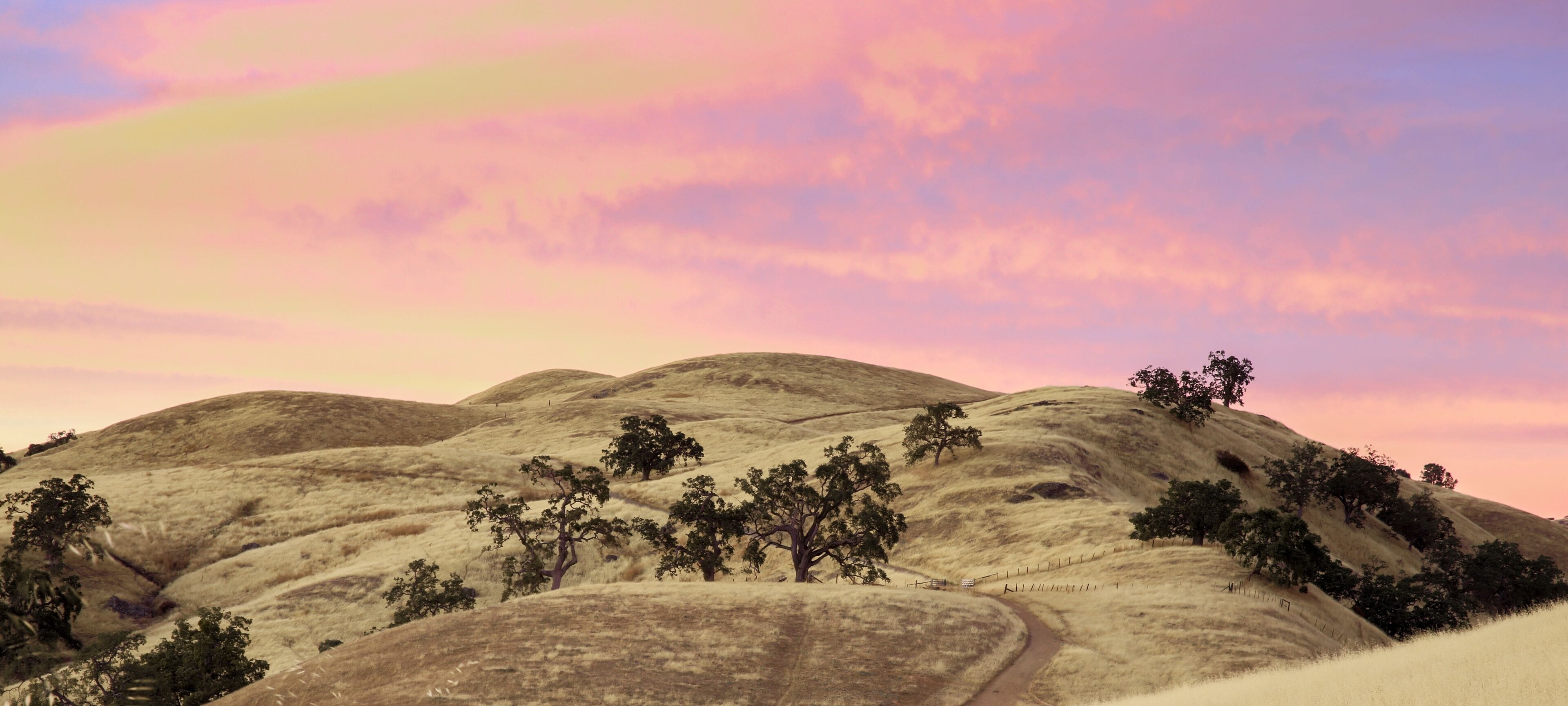 Gilroy
