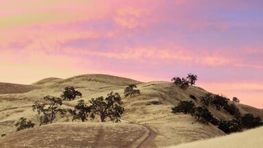 Rolling hills with sparse trees and a winding path.