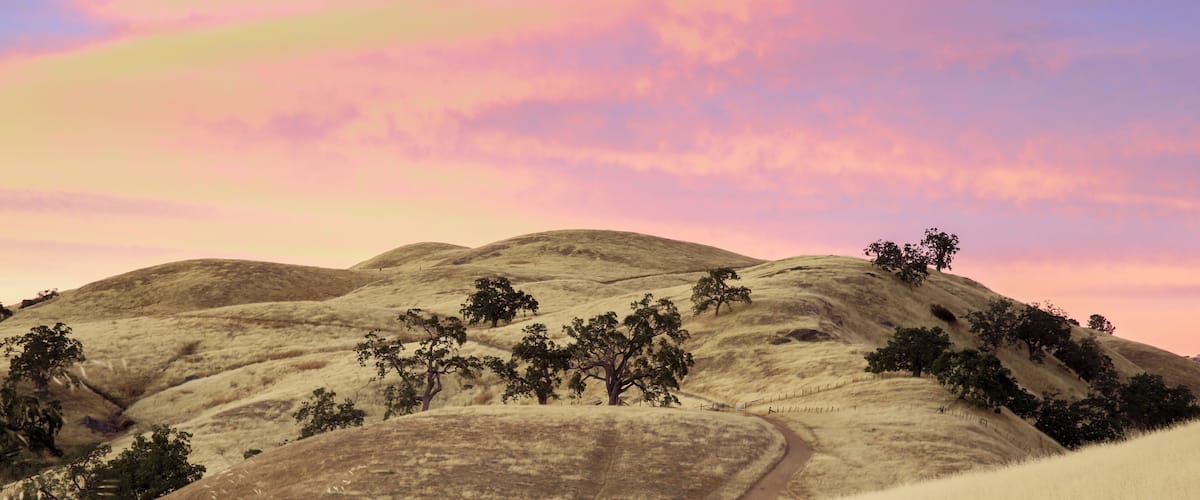 Rolling hills with sparse trees and a winding path.