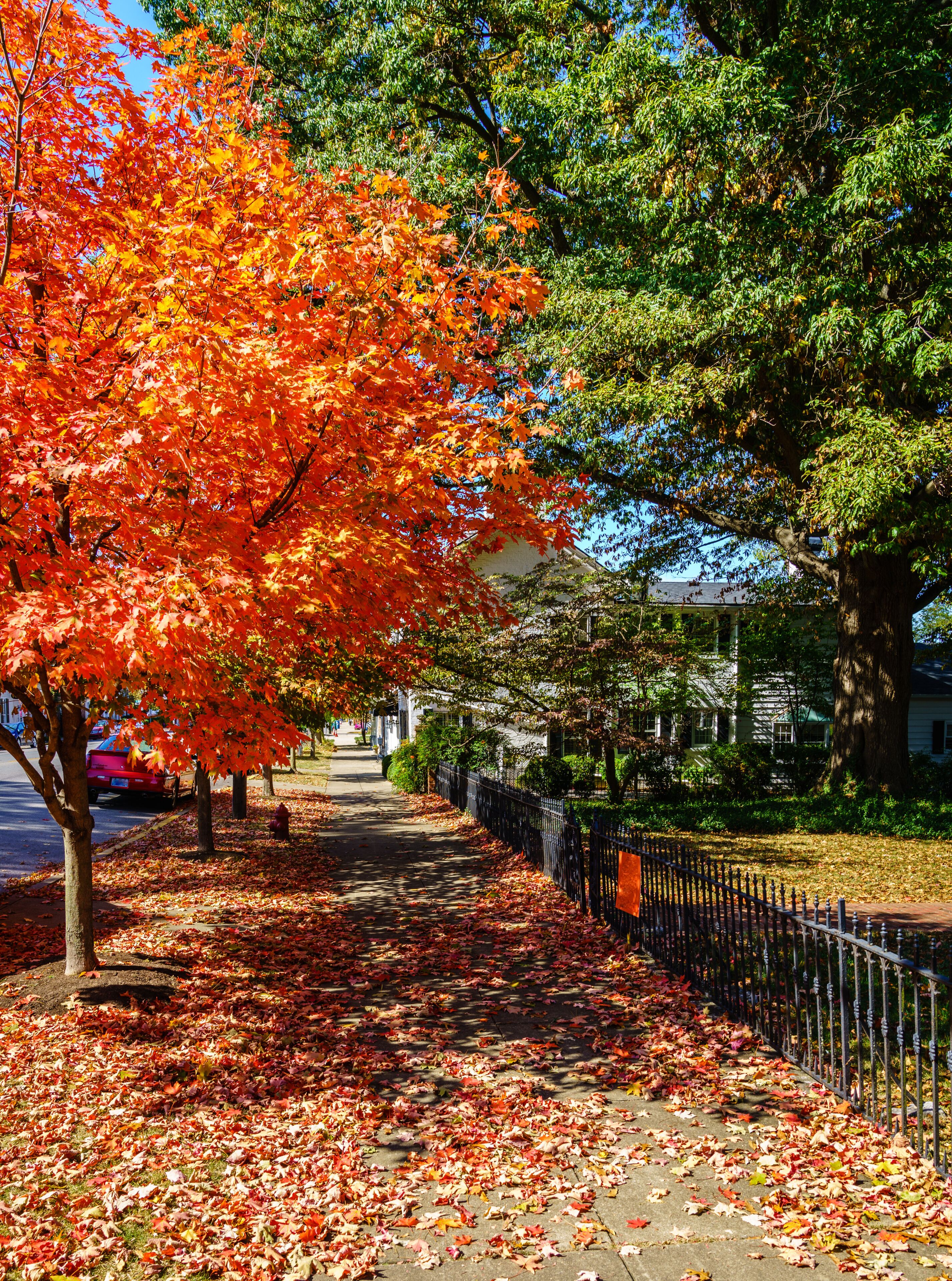 Fall in a small Kentucky town