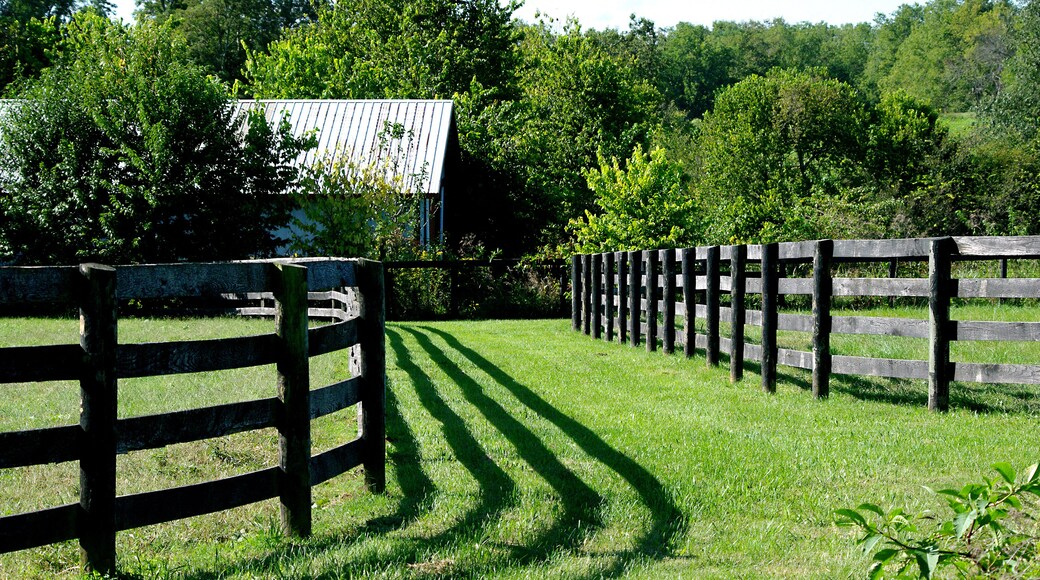 This months topic for a small photo study group I belong to is fences This is one of the photos. I am going to present.