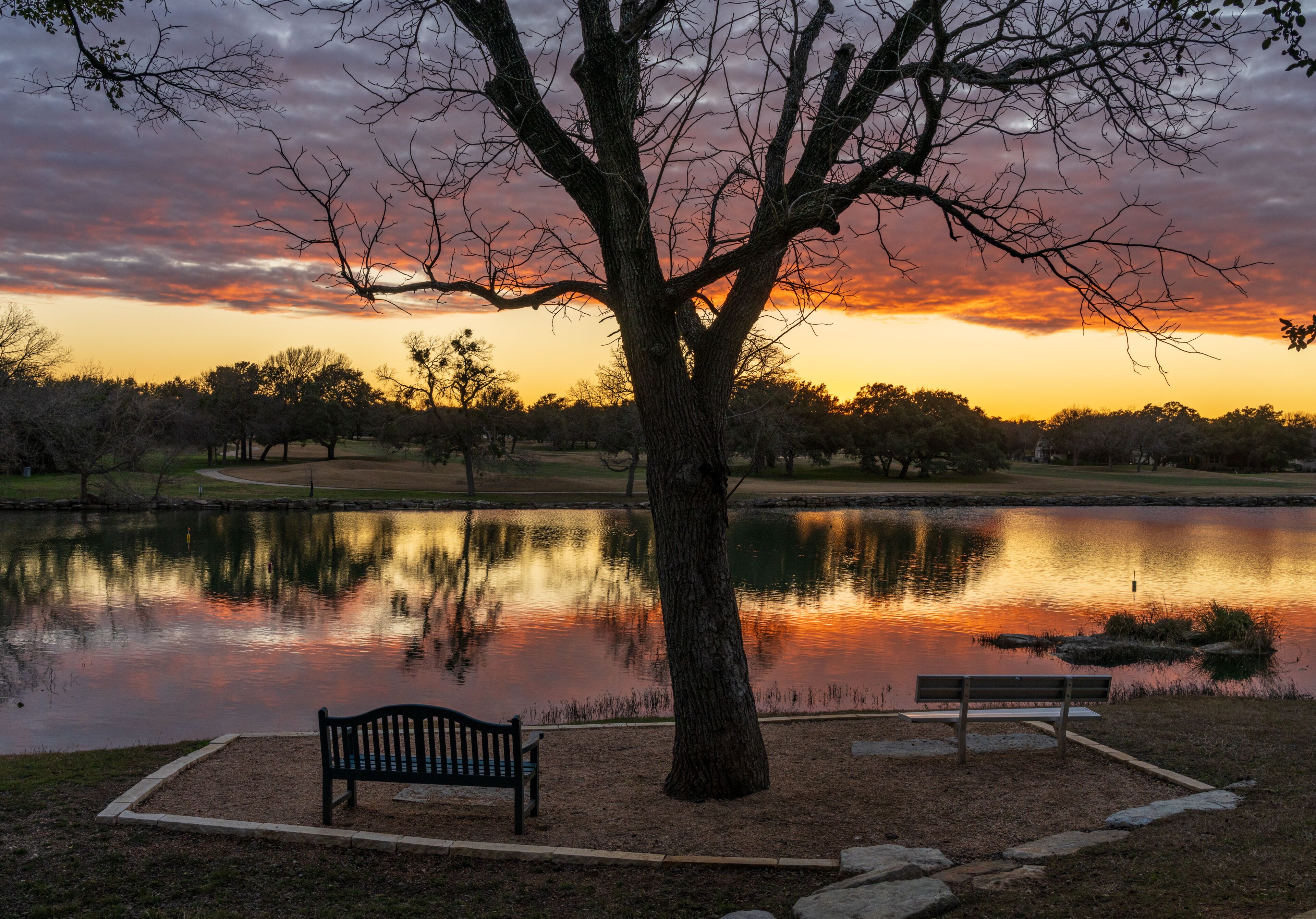 Un parque con un árbol grande, un banco y un lago tranquilo que refleja el atardecer.