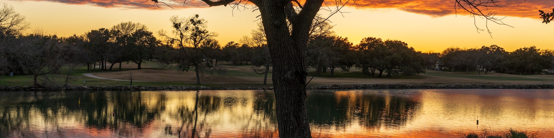 Un parque con un árbol grande, un banco y un lago tranquilo que refleja el atardecer.