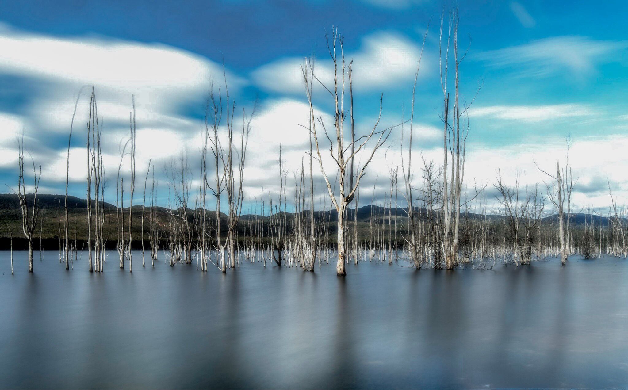 Man made Lake that is often calm with beautiful dead trees littered around the edges. 