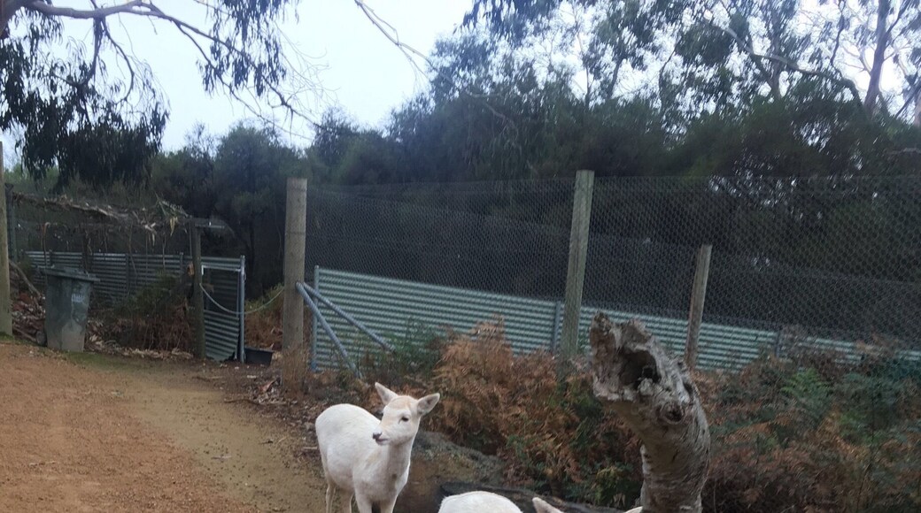 It was a wet day with a slight drizzle but the animals were ready to warmly greet us!!!