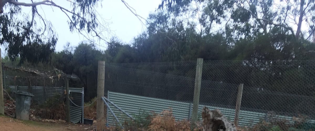 It was a wet day with a slight drizzle but the animals were ready to warmly greet us!!!