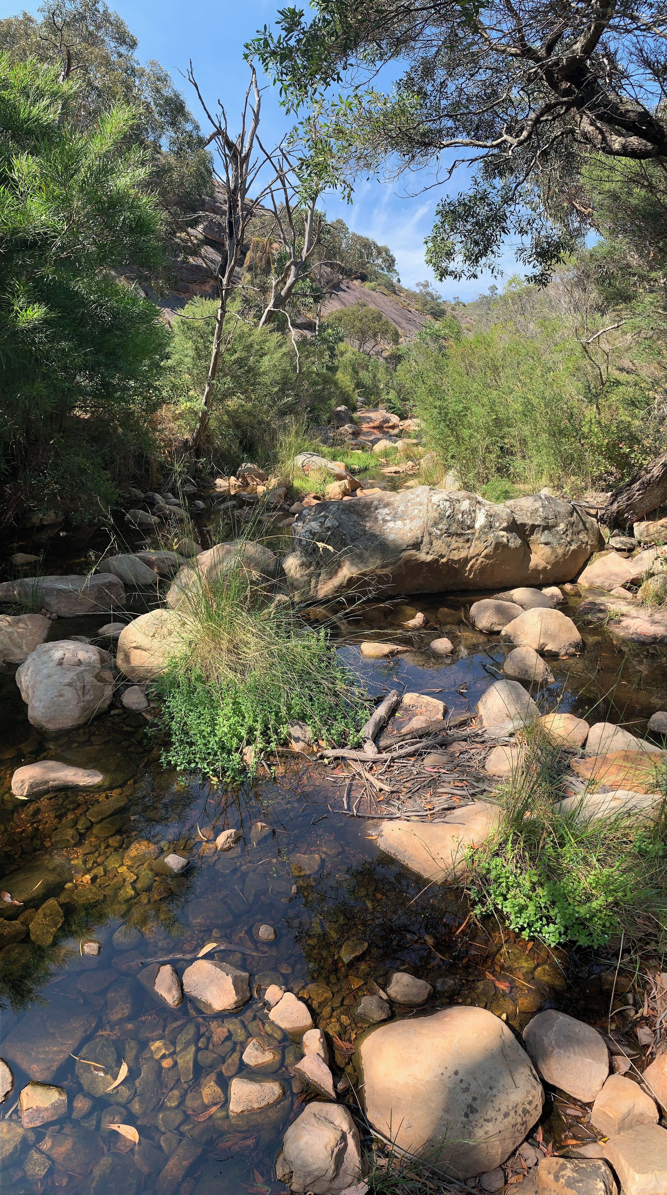 Venus Baths, Halls Gap