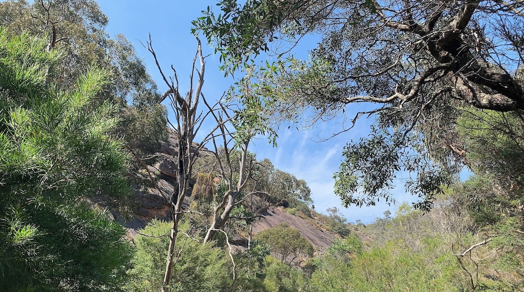 Venus Baths, Halls Gap