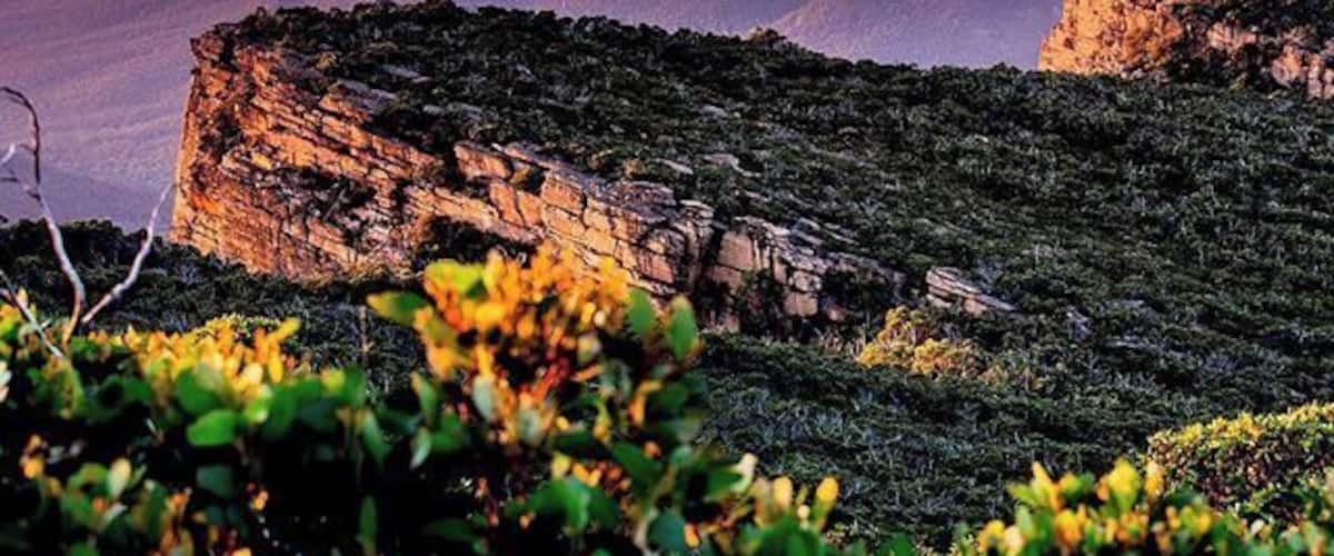 The top of the #Grampians is a spectacular part of the world! This one taken from the highest point; Mt William at #sunrise. #STimages2016roadtrip #HowsTheView? @daily_life_of_stimages #seeaustralia đ