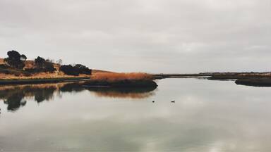 Beautiful color and scenery at this park. Great for some cardio activity, too!