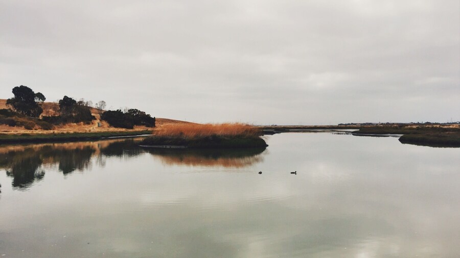 Beautiful color and scenery at this park. Great for some cardio activity, too!
