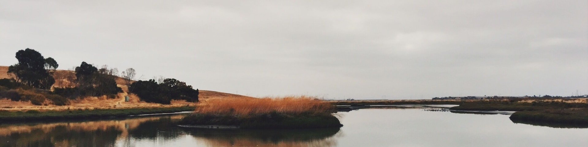 Beautiful color and scenery at this park. Great for some cardio activity, too!