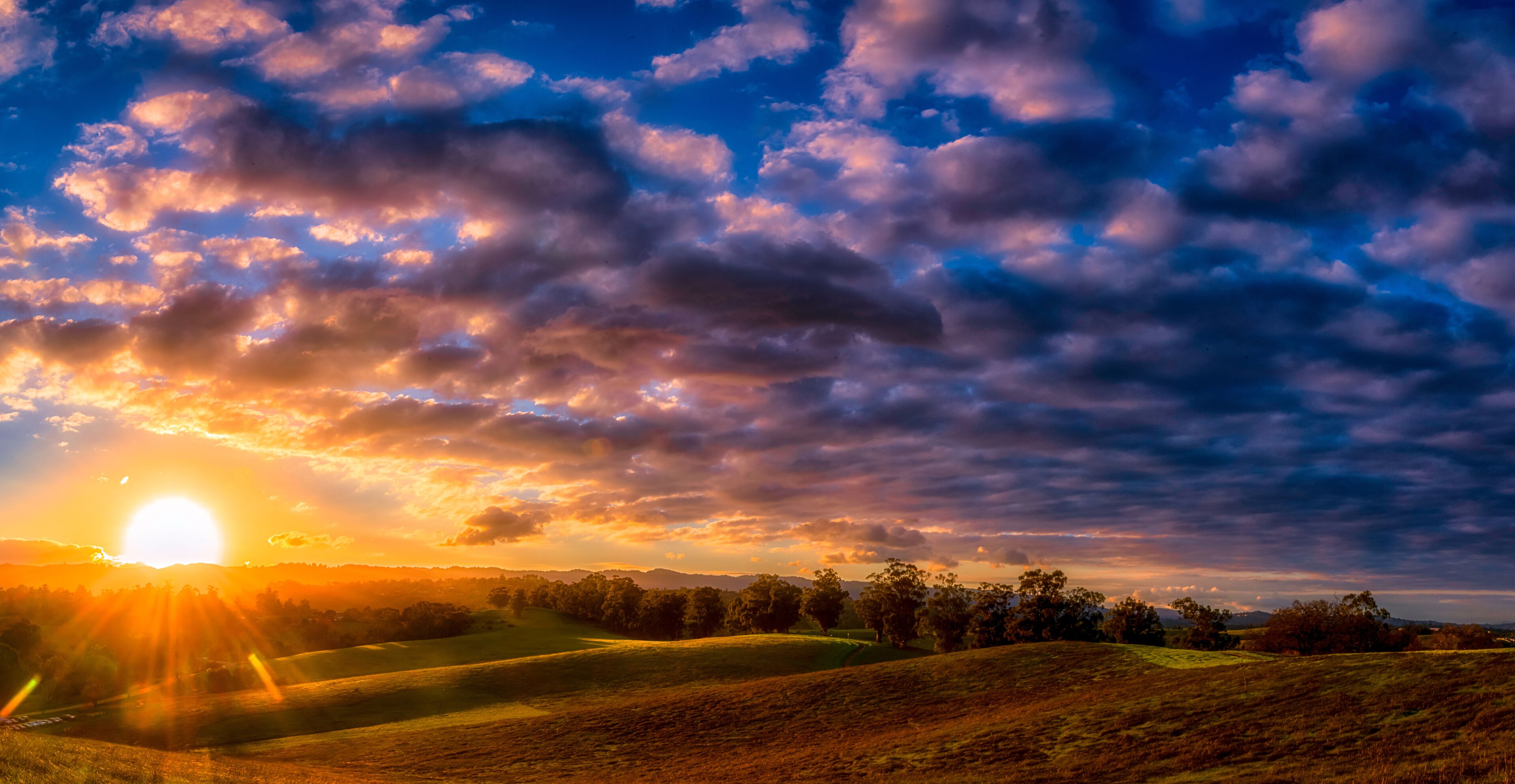 A sunset over rolling hills with scattered trees and a clear sky.
