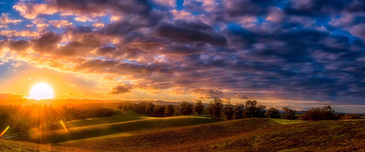 A sunset over rolling hills with scattered trees and a clear sky.