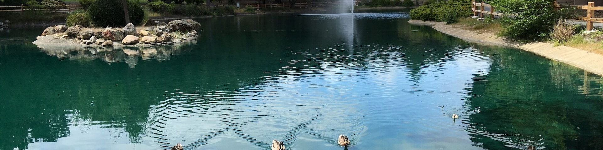 A tranquil lake to take a break.