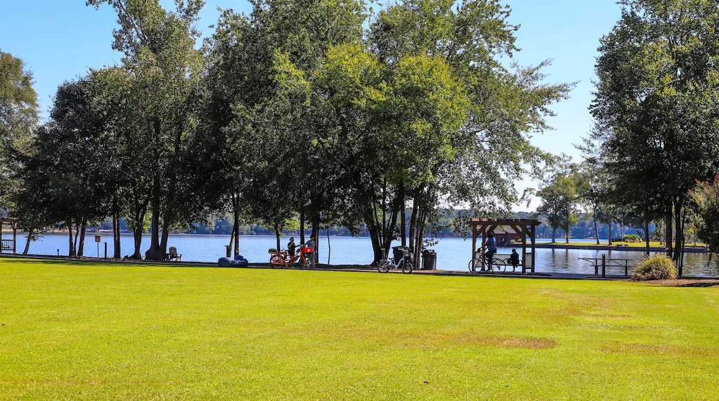 a shot of a park by the lake with vast green grass, lush green trees, people relaxing on the banks of the lake, blue sky and clouds at Lake Peachtree in Peachtree City Georgia USA
