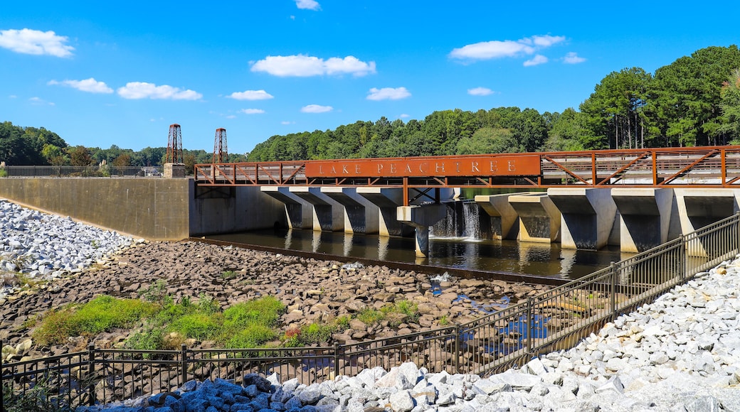 بيتشتري سيتي