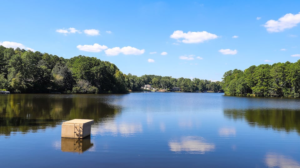 A calm lake with a floating platform, surrounded by dense green forest and a clear blue sky.