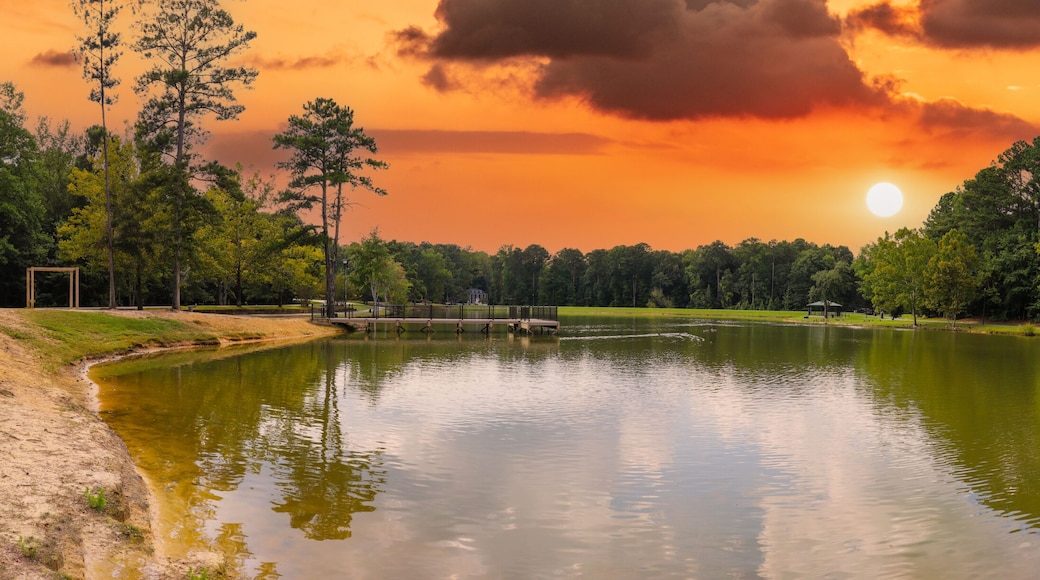 a stunning panoramic shot of vast silky green lake water surrounded by lush green trees with mallard ducks and geese and powerful clouds at sunset at Huddleston Pond Park in Peachtree City, Georgia