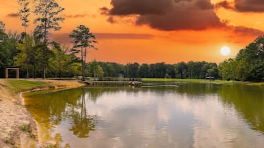 a stunning panoramic shot of vast silky green lake water surrounded by lush green trees with mallard ducks and geese and powerful clouds at sunset at Huddleston Pond Park in Peachtree City, Georgia