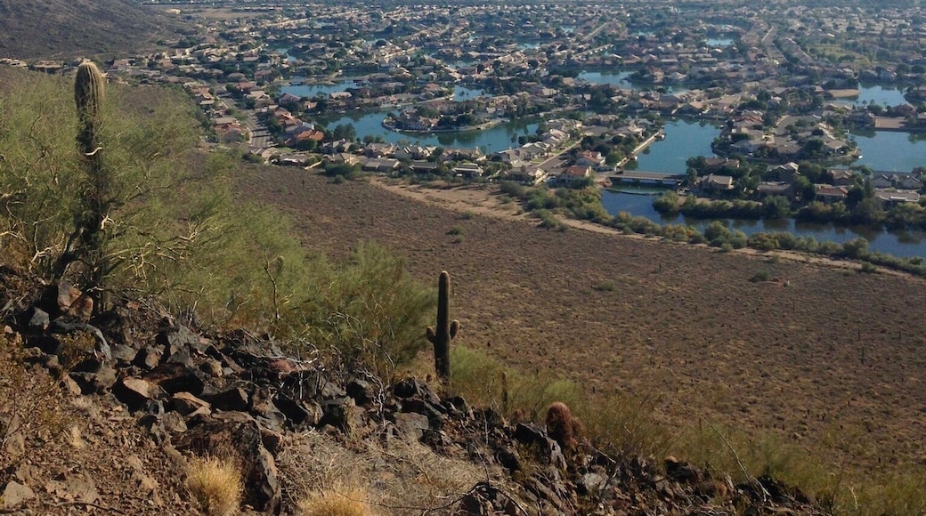 Fun hike in northern Phoenix. Great for a quick break during the day. 🏜