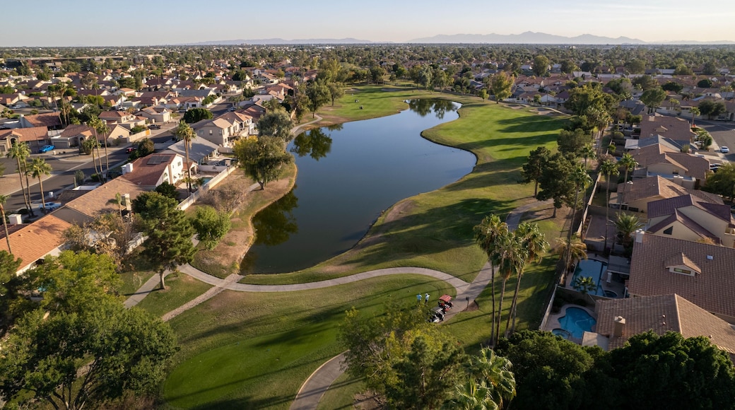 A golf course with a pond, surrounded by residential houses and palm trees.