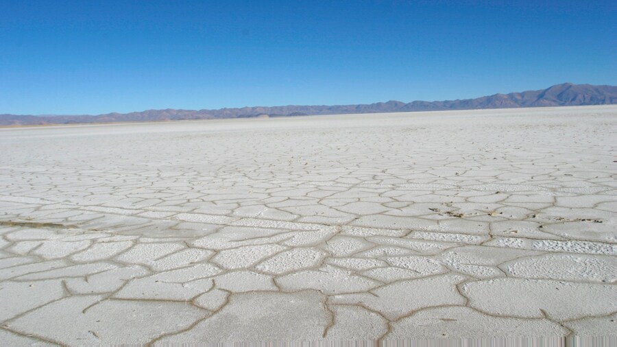 Northwest Region showing desert views