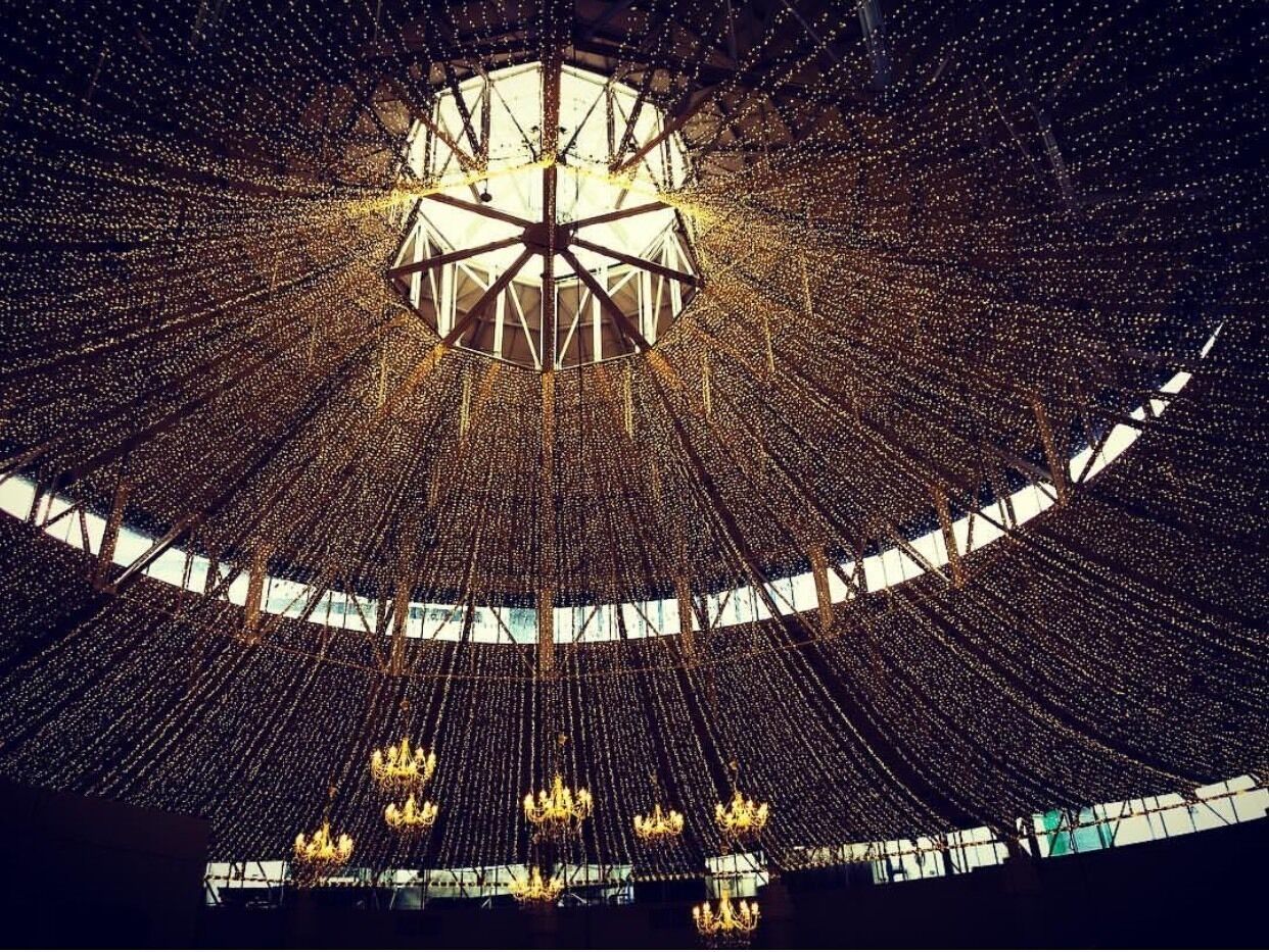 my fixation with 💡💡💡 
Maybe because sometimes we are too caught up in our own thoughts and where we’re heading that we forget to #LookUp


#ginnysjournal #mesmerized #fascinatinglights