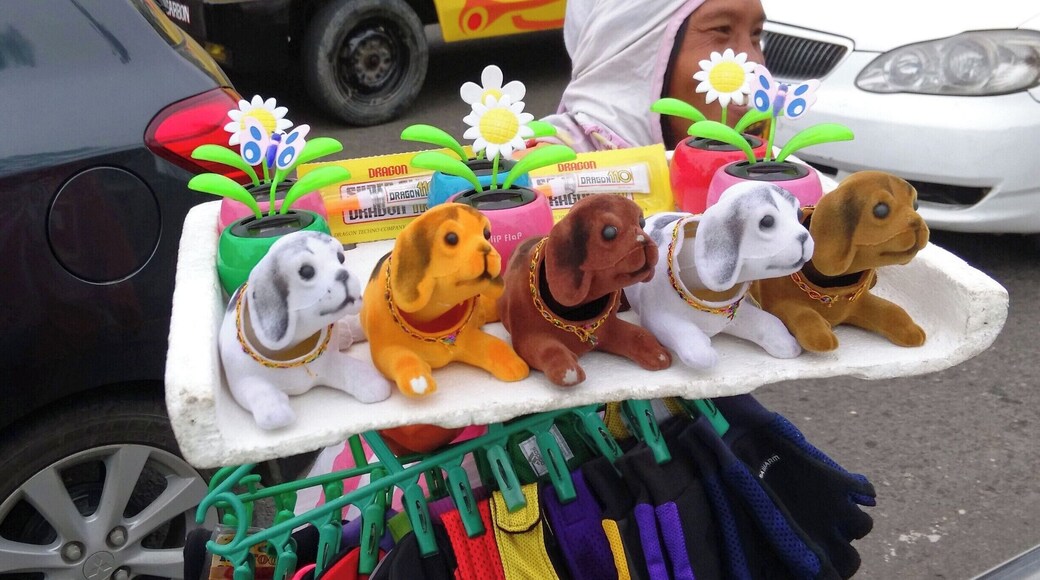 Male and female street vendors sell very different items on the streets of Cebu. Traffic is odd there, I've made a left turn across 3 lanes of traffic in rush hour and not waited over 30 seconds. The vast majority of folks are civil and play by the rules.