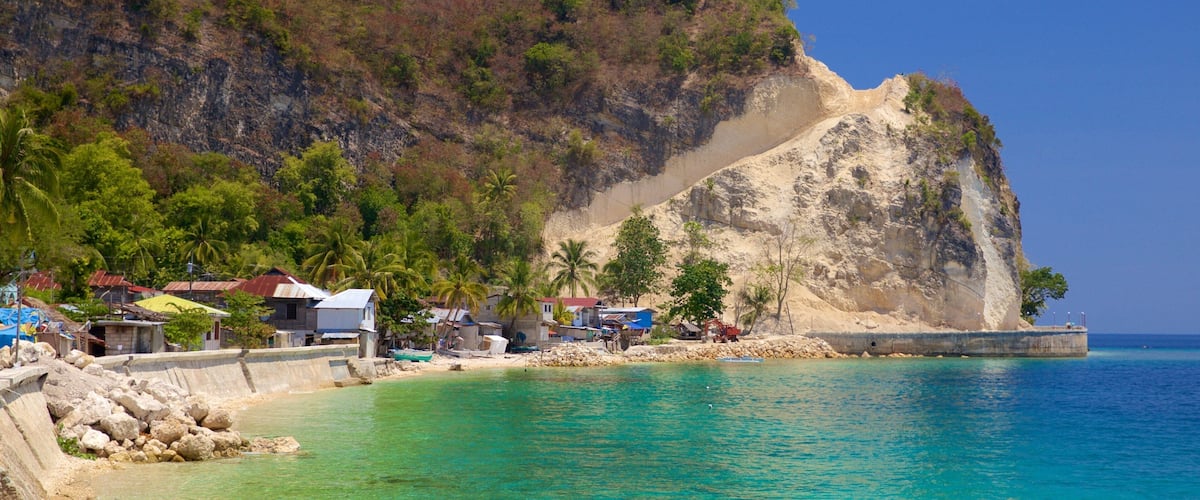 A coastal village with houses, palm trees, and a steep cliff.