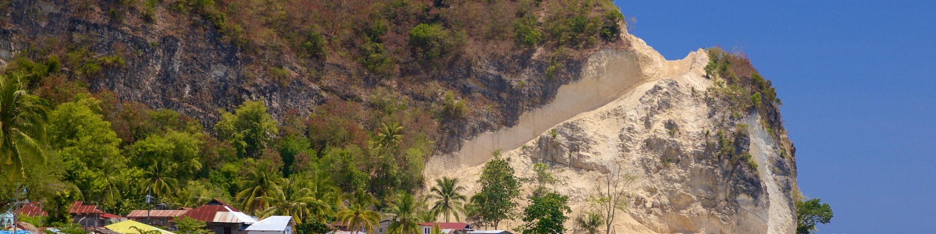 A coastal village with houses, palm trees, and a steep cliff.