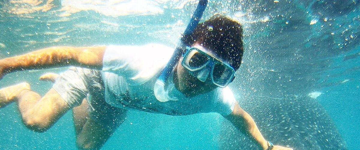 Take a breath and touch the friendly WhaleShark. #Cebu #Philippines