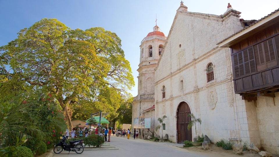 Cebu which includes religious aspects, heritage architecture and a church or cathedral