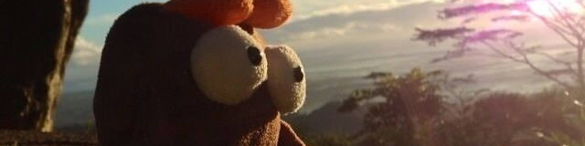 I don't just travel and go to famous places. But i also take a moment to stop and mesmerize the unforgettable scenery along the way. For me, thats the essence of a real #roadtrip