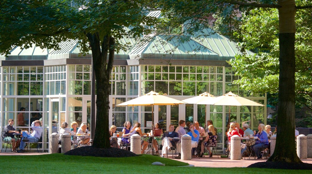 Boston Financial District presenterar en trädgård och caféer