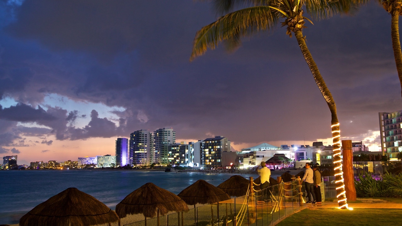 Hotel Zone showing general coastal views, a coastal town and night scenes