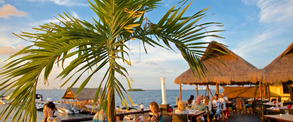 Hotel Zone showing outdoor eating, tropical scenes and dining out