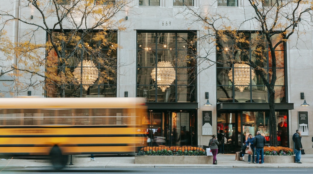 Magnificent Mile which includes street scenes