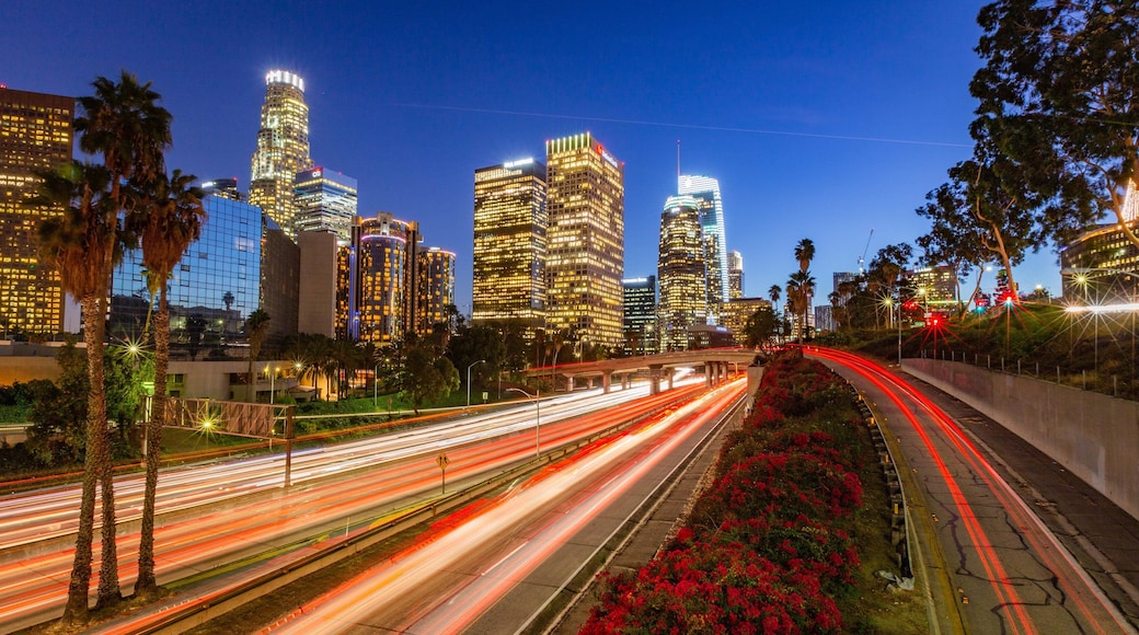 Downtown Los Angeles showing night scenes and a city