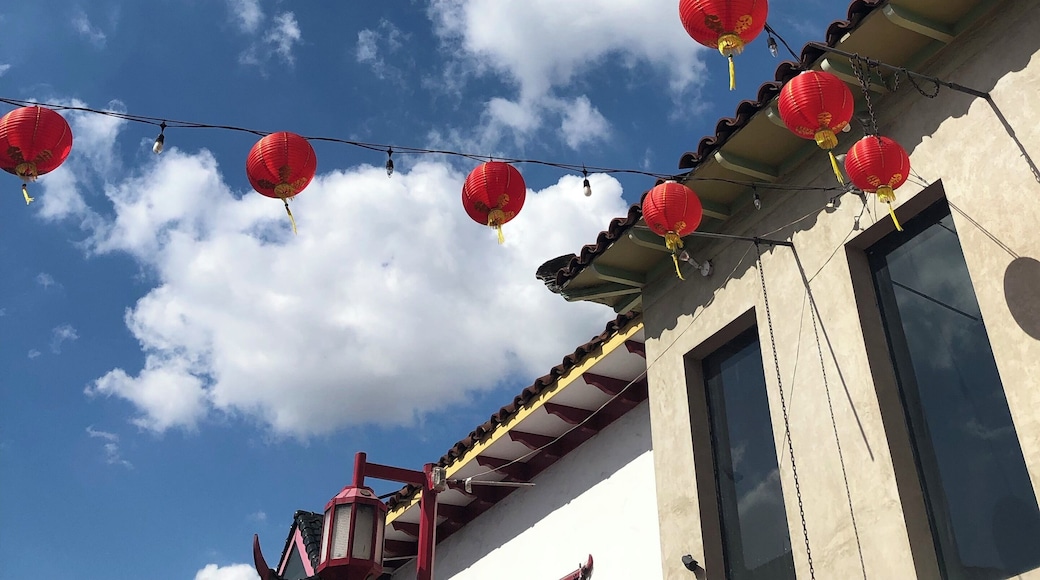 Chinatown. A place full of tradition and culture.
#Culture